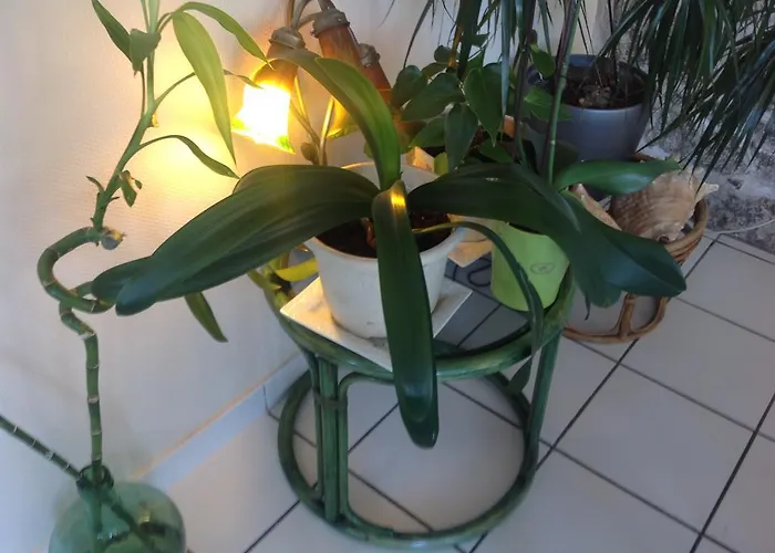 Bed & Breakfast La Bel Air Flamanville